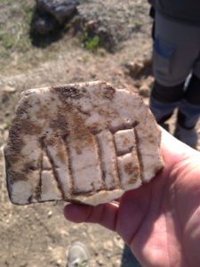 Abbazia di San Vincenzo al Volturno: conclusa la campagna di scavo